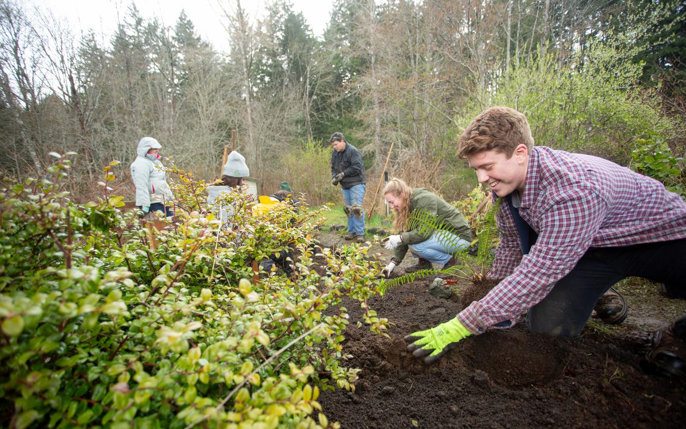 People working in a garden together. 